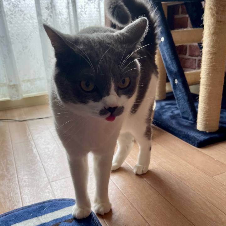 2731dec5 75af 4c28 97e5 955d847ceafe 1658288312344