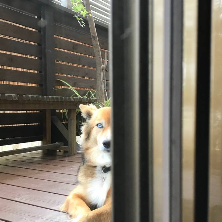 2731f6e6 9466 4705 ba8a 064e7249efc3 1510456979683