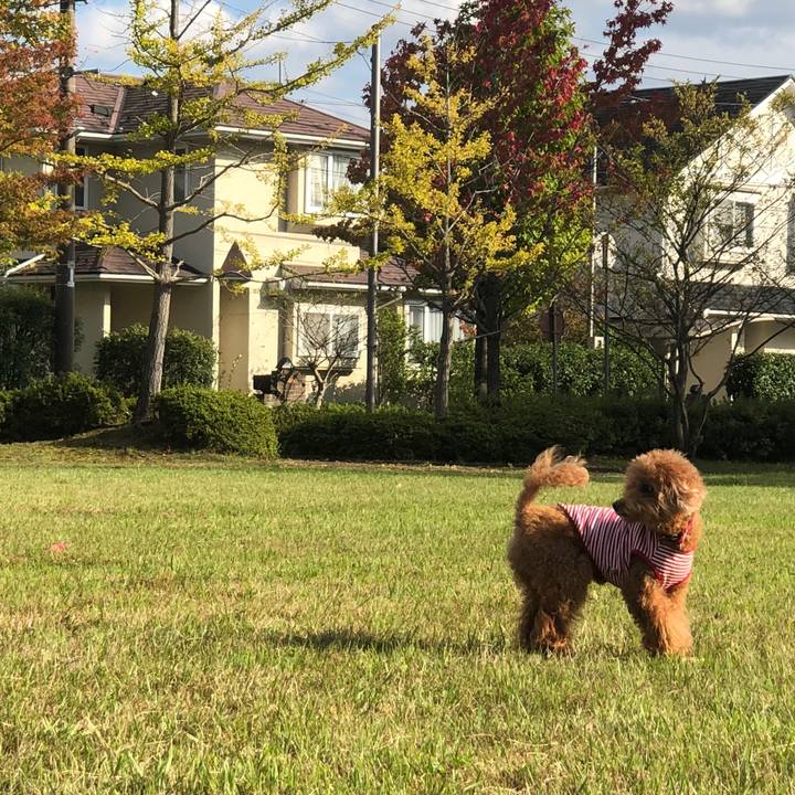 27320931 5c07 47be 8b12 db9a91bcf62d 1602574003461