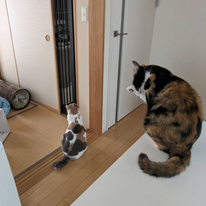 2732306d 231e 42ac 839e 00c78b1d99b9 1718782526269