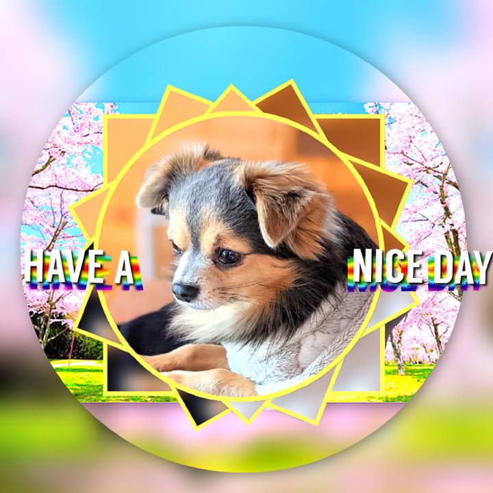 27327294 7df3 411d a7cc 345950db8f93 1616391077231
