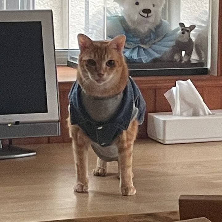 27329bbc 3398 4f4d a7dc dbbcbbc857d2 1645289159965