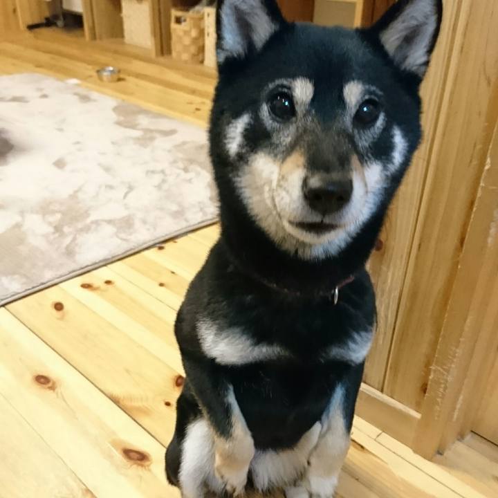 2732b445 afa2 433b 9087 600b80ff080d 1517740908391