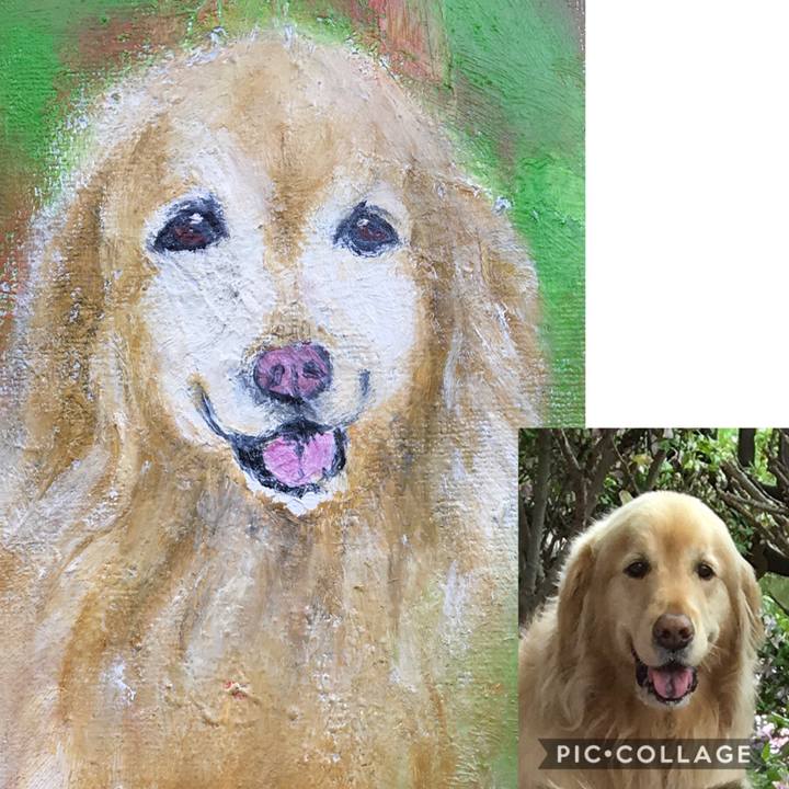 2732dd24 af2f 472d ae25 5af56157fcdf 1586266919831