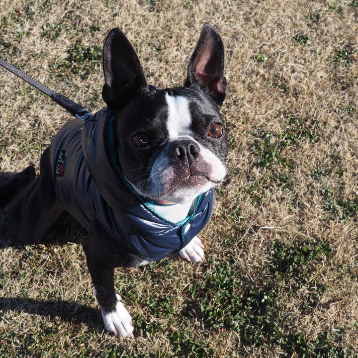 2732e5d6 a25c 44e4 84bb 67e6dadb369a 1641026169884