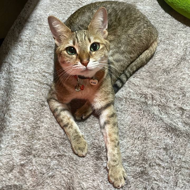 2732ec0e d216 4104 9219 4981a16c5af2 1703288406559