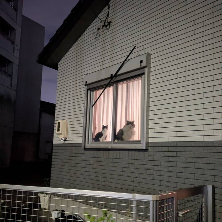 2732fc32 205f 4e95 a7d3 11a69773e248 1766142211742