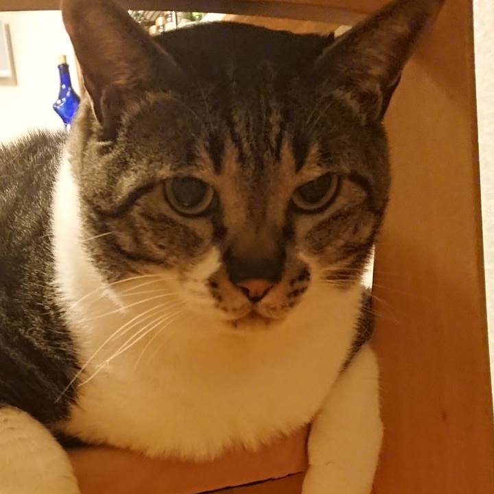 27332d09 d8fa 45b0 bccf 836d35aa5165 1529678470233