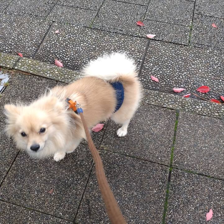 27333333 a592 4eb3 a403 17057f94bd3a 1761953873374