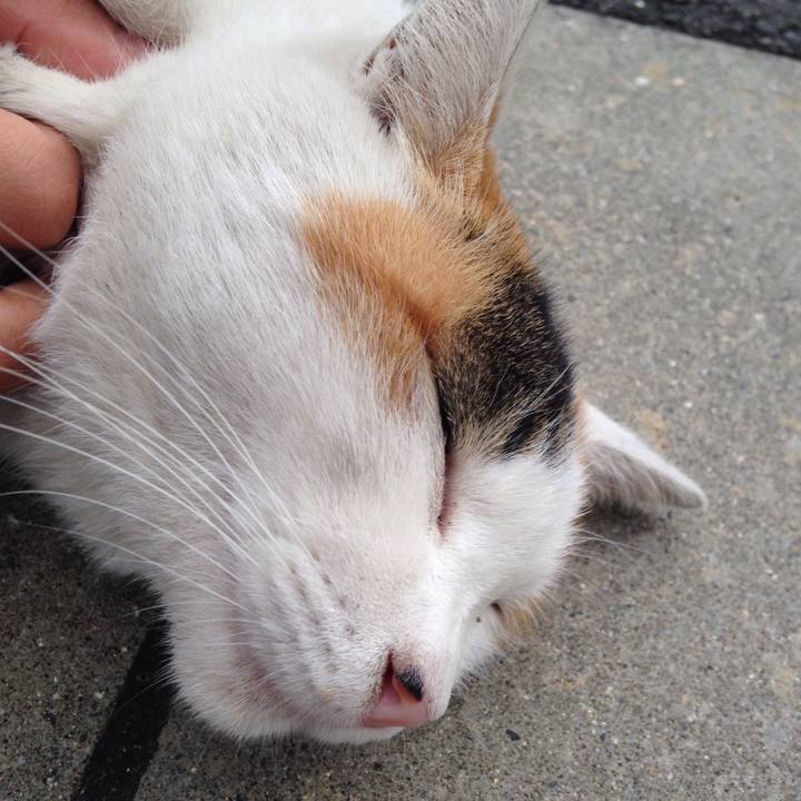 2733db18 8454 423d 8caa fd805da23377 1508325763792