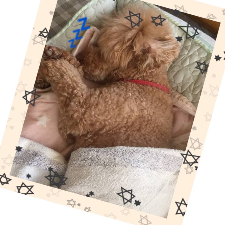 2733ef97 37be 454f 8018 ab4bf4eb4cbd 1531558331102