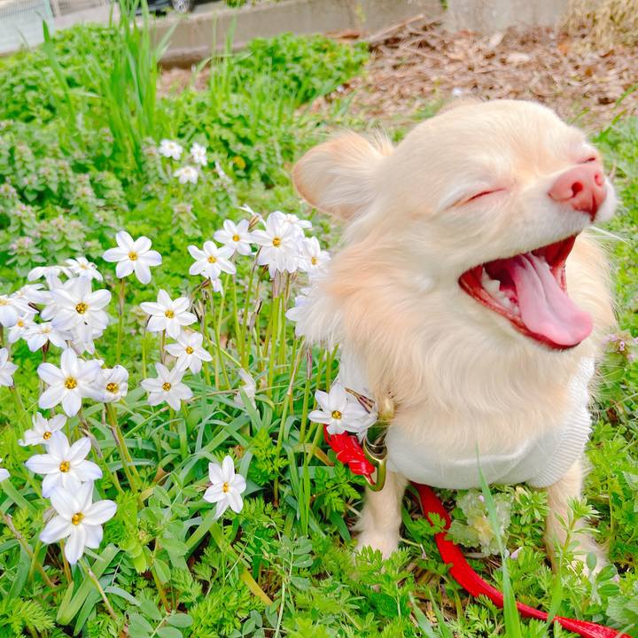 273404de 1969 4186 bb68 742be046ab89 1648526676437