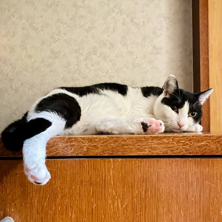 2734119f 7164 495a 8a24 870fd8614ba3 1620789838814