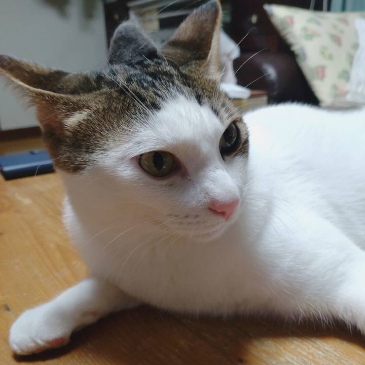 2734500a 3e9e 4692 a174 1324298942e8 1690371676420