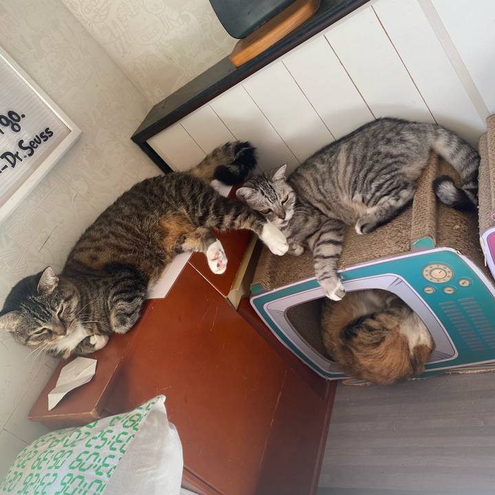 2734ba72 a8f6 4295 9f8a 9a4a987a0c2e 1664071428312