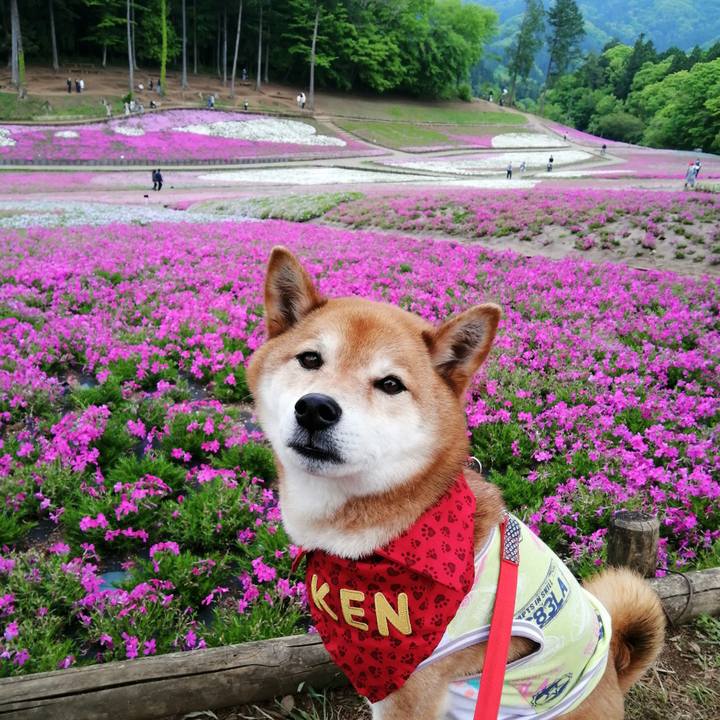 2734c020 bb08 4e45 9709 4956604ef9b9 1651400868691