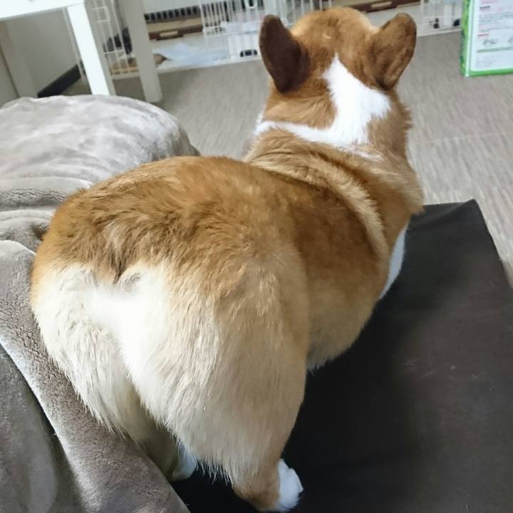 2734de3d d36b 4633 acf2 dcf7019a38bb 1549690310803