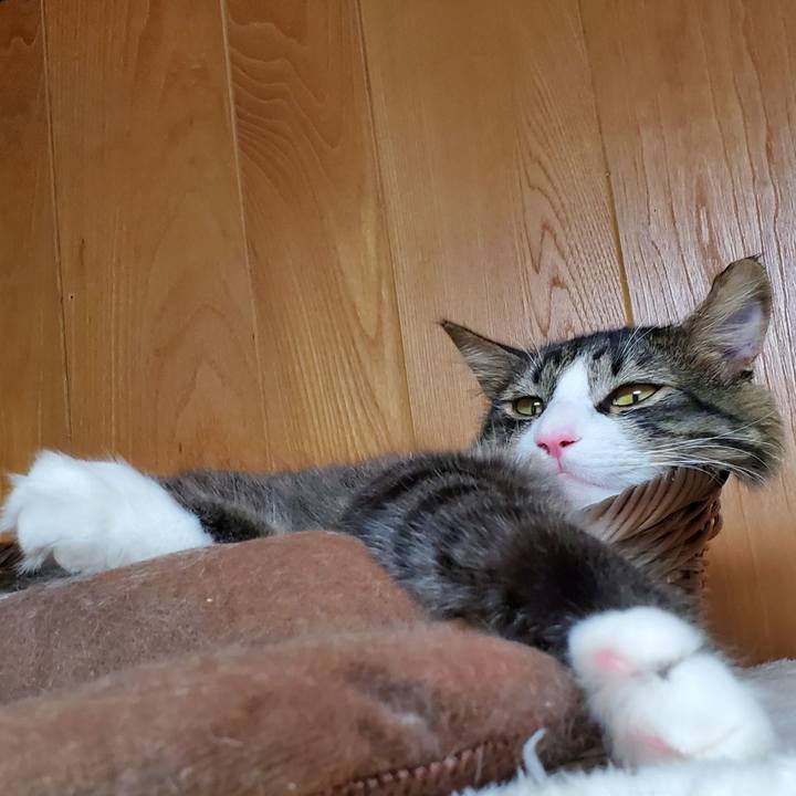 2734e0e4 45b4 469e 8c49 a5d0b50e8eec 1664450928163