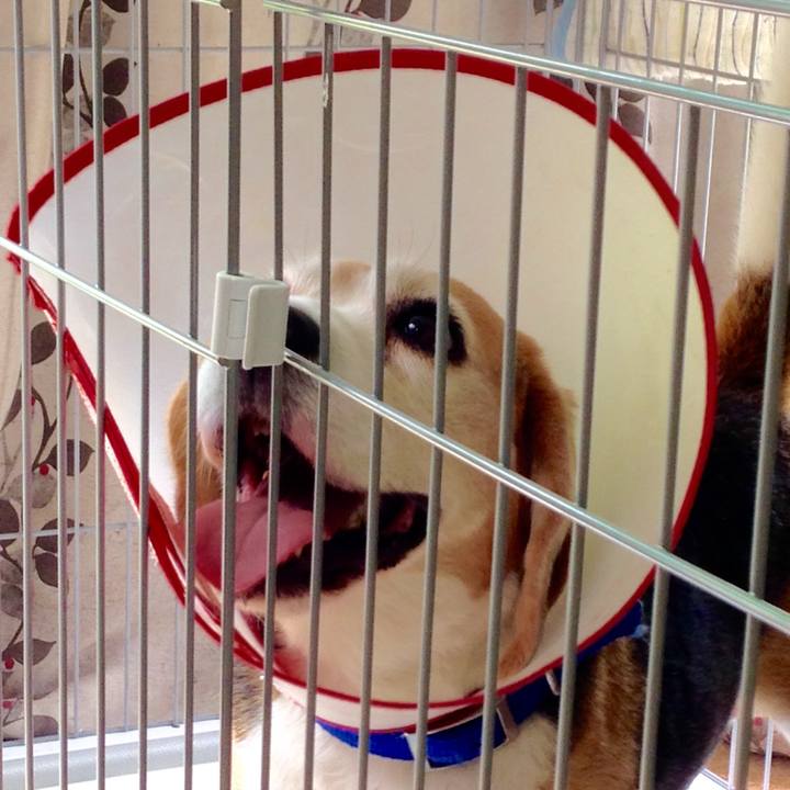 273504bb fdb6 4c9a 8d0c 34aee8ea9d6f 1753071349227