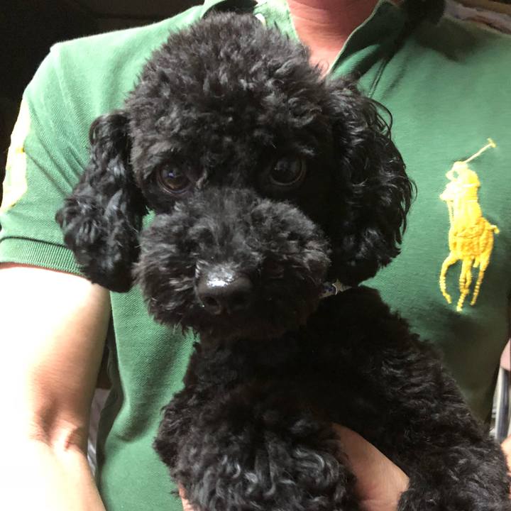 273535f3 1a45 4cc6 a9c5 aef3a0f4e62e 1532863426568