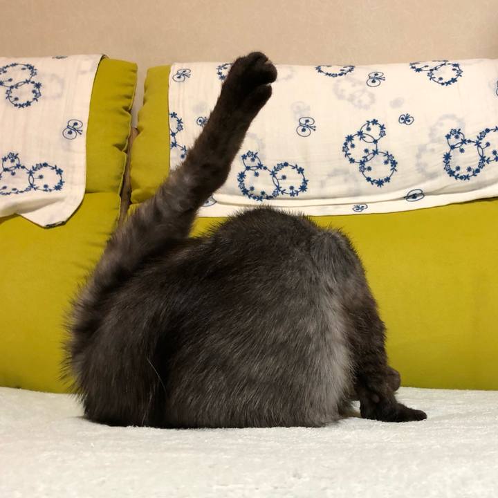 27354fd0 9ed6 497b 9f9e a3313b5a6c5f 1593941591719