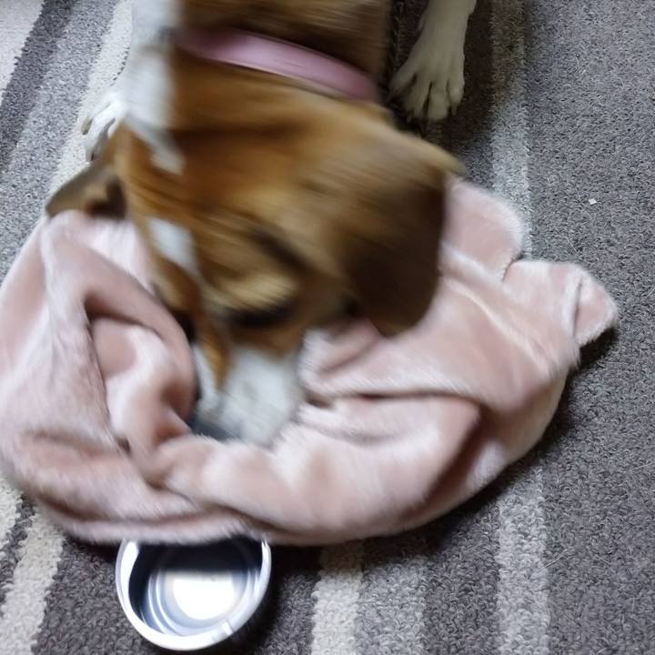 27355304 3118 4edc b051 f5096eccf248 1601639514586