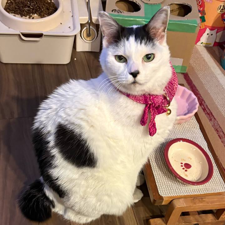 27359b1b 5a3c 42c2 aa16 15b9f3ee39f0 1769861362230