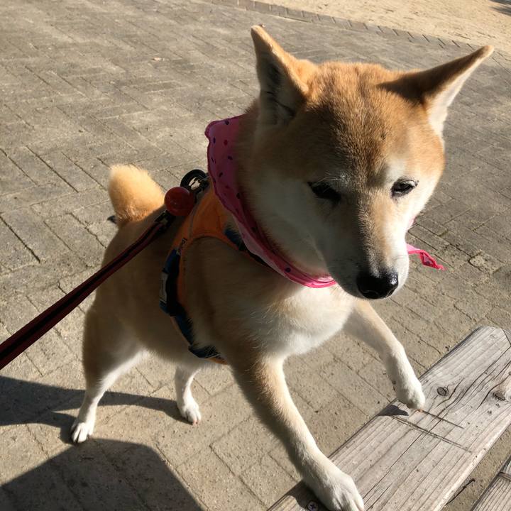 2735b41b 1022 4718 a4cb 3377b5fb8adc 1604976883166