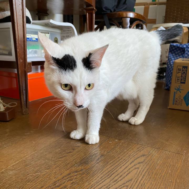 2735eca1 78c2 4159 a59b 9161268bf872 1596896350949