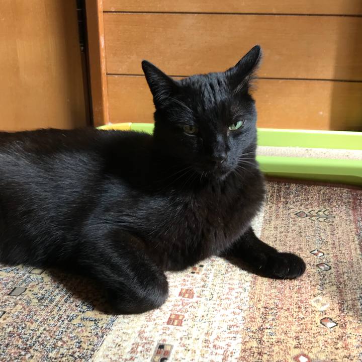 27362195 675a 4bff 8a28 01c1ac92f185 1527209836304