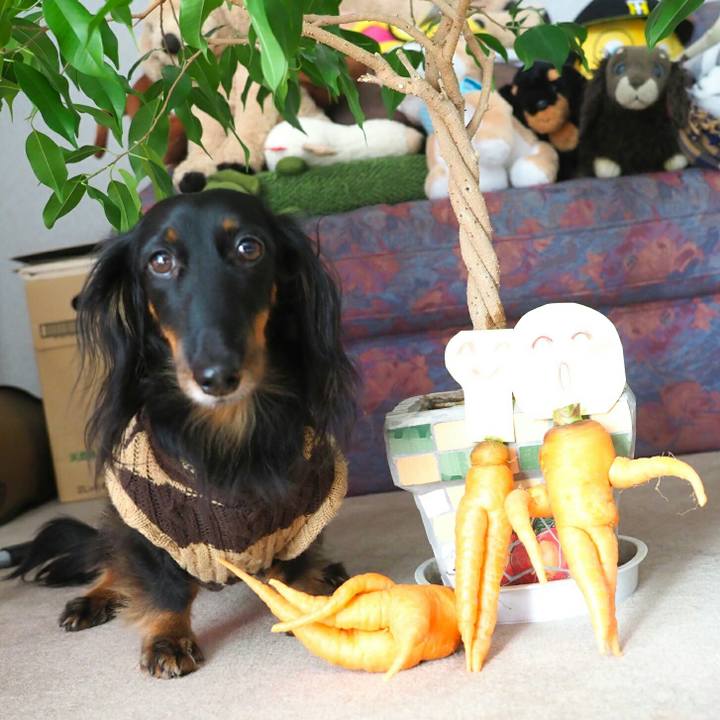 2736301b 53cd 4b0d bb0a 2eab64cd90e9 1577241771973