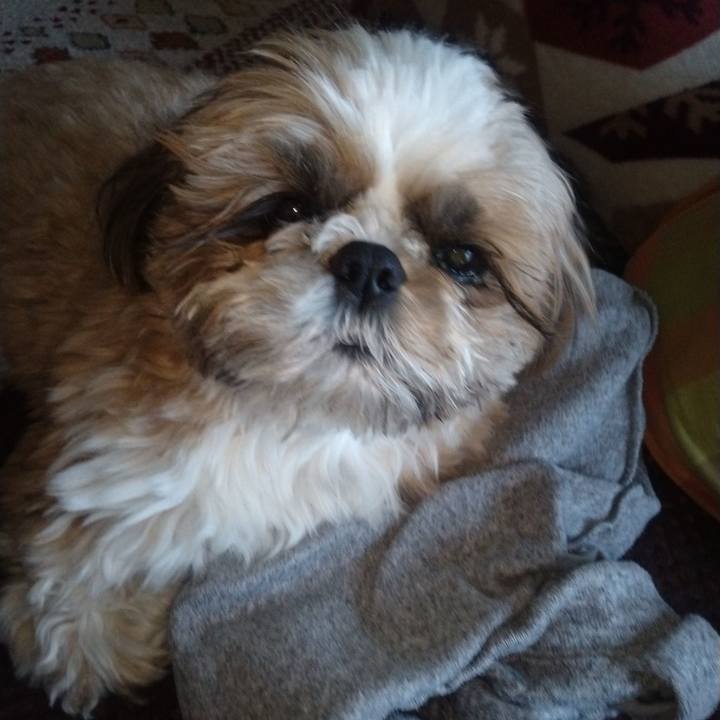 27363c06 93ad 4db4 9276 3021ac1f9a60 1707135015662