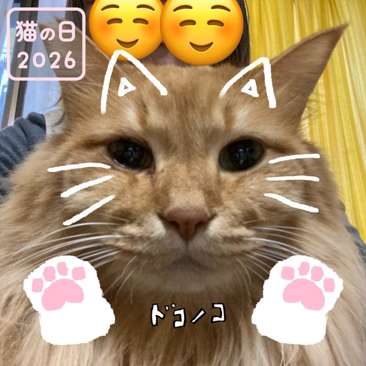 27363d15 b810 4738 b477 2c7fd4465be8 1771747025956