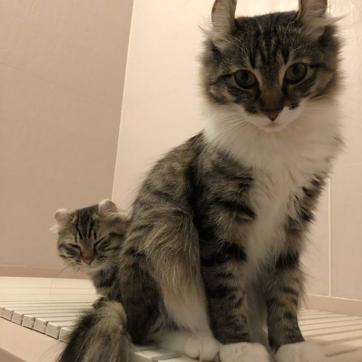 2736902f e0e0 4841 9f07 3577b717a26a 1523279377979