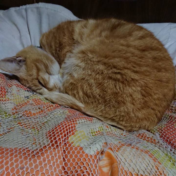 273691d7 c8f0 4f67 a104 e3d1ba7b6513 1585052254618