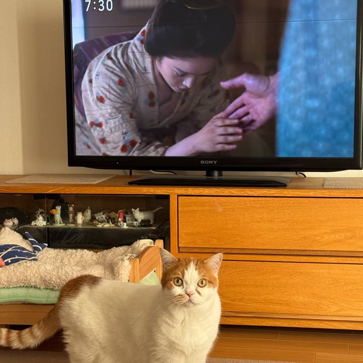 2736a40d abd3 4a45 98a8 c579eccc63d2 1762742589933