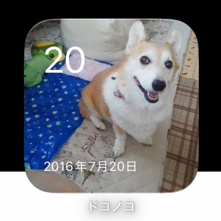 2736a43d 138d 4069 bbe1 1d9a2f08670b 1784515012924