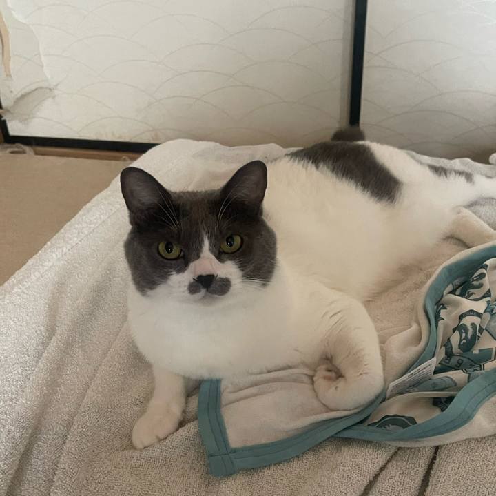 2736dc43 dfbb 4c74 abe4 4951740f171f 1724799646541