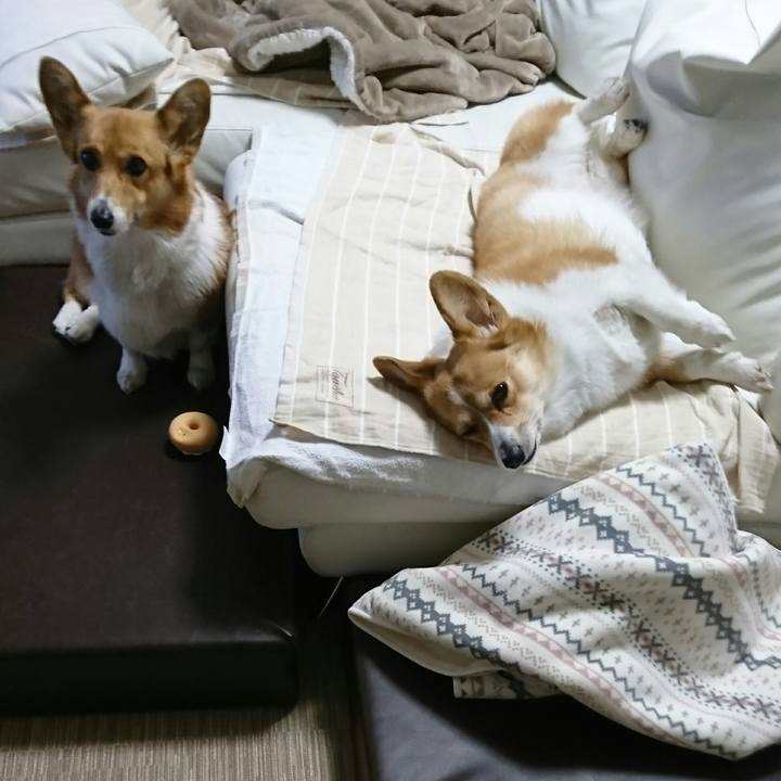 2737a39b d5f3 4ef4 a062 1cf5f90b0165 1550321682333