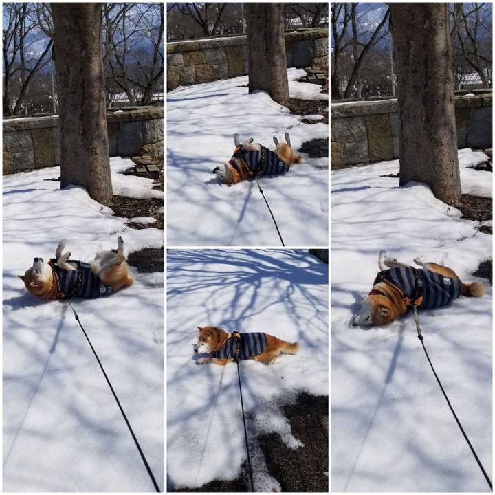 2737ba9c 7d30 4477 8278 f2fe97b5f6a7 1710388418510