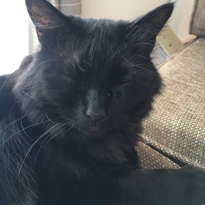 2737dfb6 0bf8 46af a353 7ec436fff61a 1519890227211