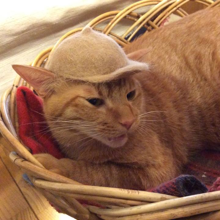 27384251 9ff8 45fe 8b77 67ed2a2bc850 1507861448703