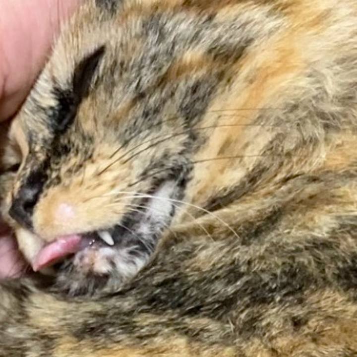 273863c5 f29b 4371 a763 523eb893f97a 1742781380533