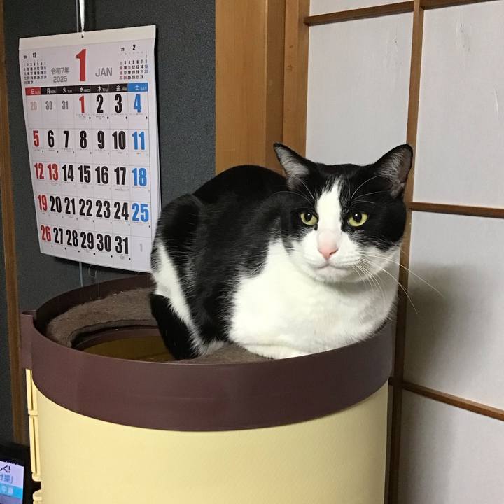 2738d491 3be2 419d bec7 2c747b2a0070 1736502795480