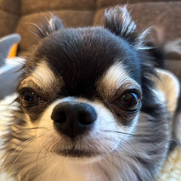 2738dd89 2e53 441c aa3e 3523b461a2a5 1723911520904