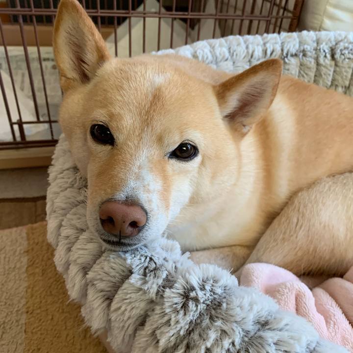 2738f089 db6c 40bd ae85 83c3d8fee186 1635465701940