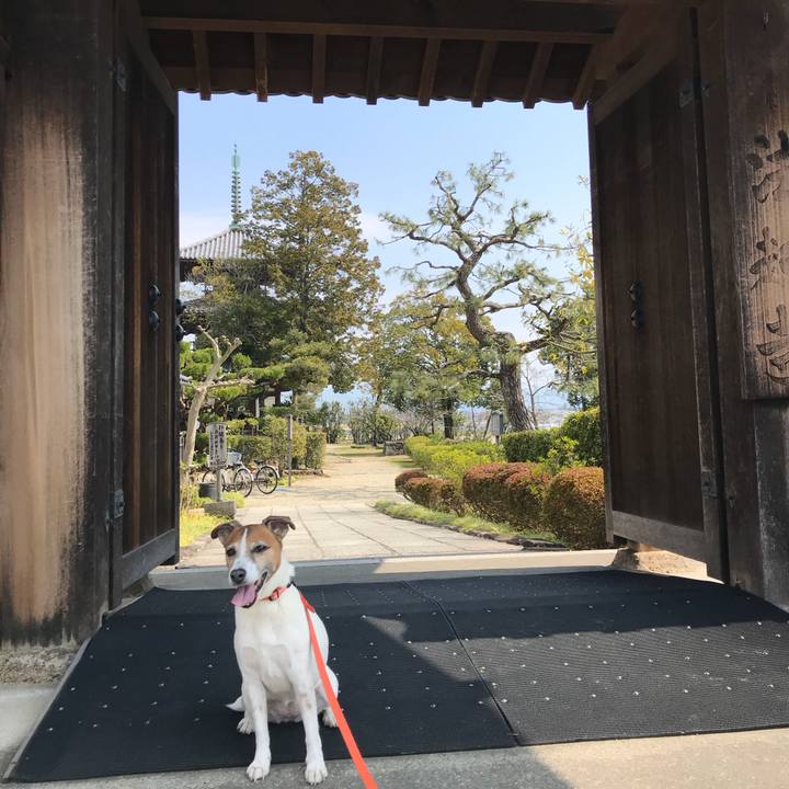 27392105 8a1e 4734 81e0 47ac889bcbed 1520762558019