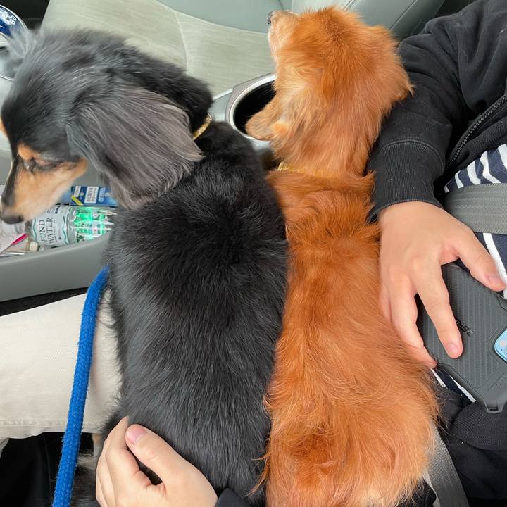 2739749d 20ab 4576 93ff 3e76b16f8bd8 1648596045682