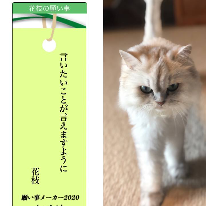 27399930 10a8 4fa6 9e63 beb545217172 1594092773045