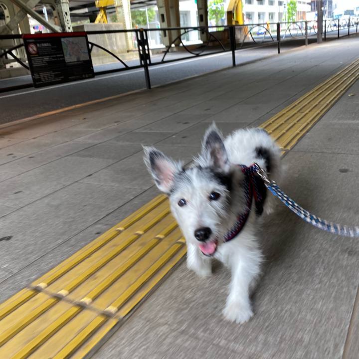 2739a4ff 6288 4a0d b1c5 124ae994e9c7 1600675029438